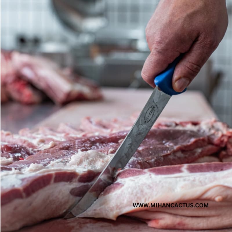 چاقوی قصابی و استیک حرفه ای دیک آلمان dick 21 CM نصرت آشپز ترکیه ای — تصویر ۶