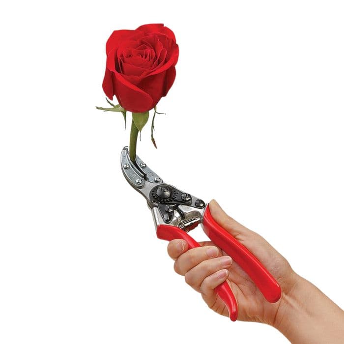 قیچی باغبانی مخصوص گل رز و شاخه بریده ها فیلکو FELCO 100 اصل سوئیس — تصویر ۲