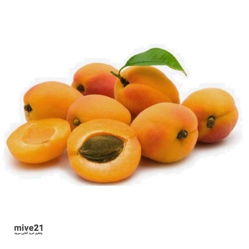 زردآلو شیراز