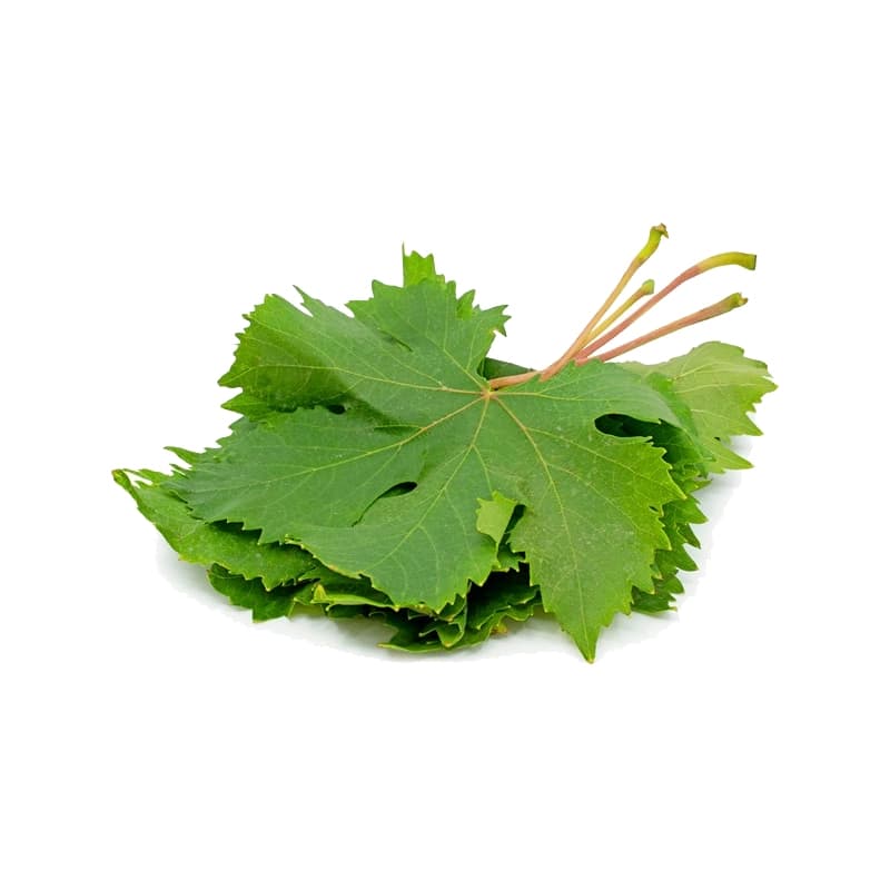 برگ مو شهریار
