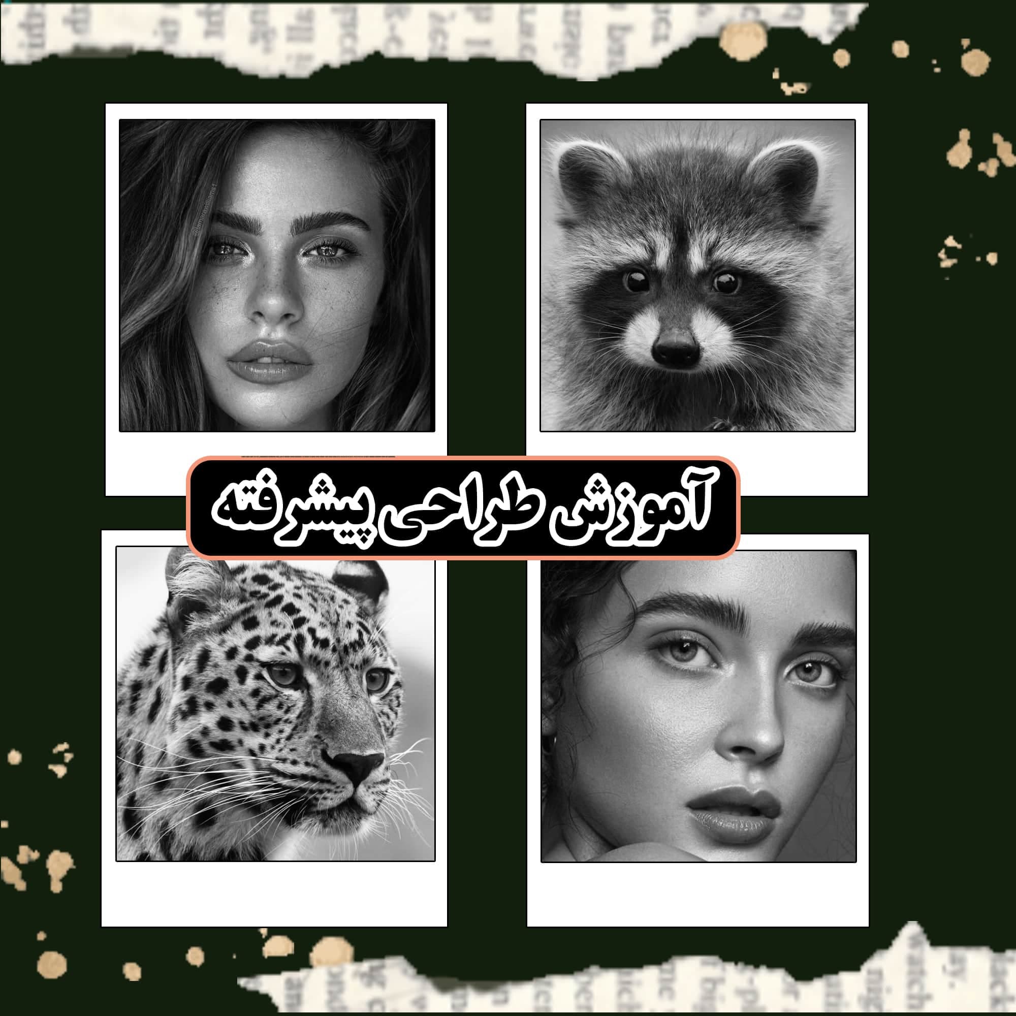 طراحی پیشرفته