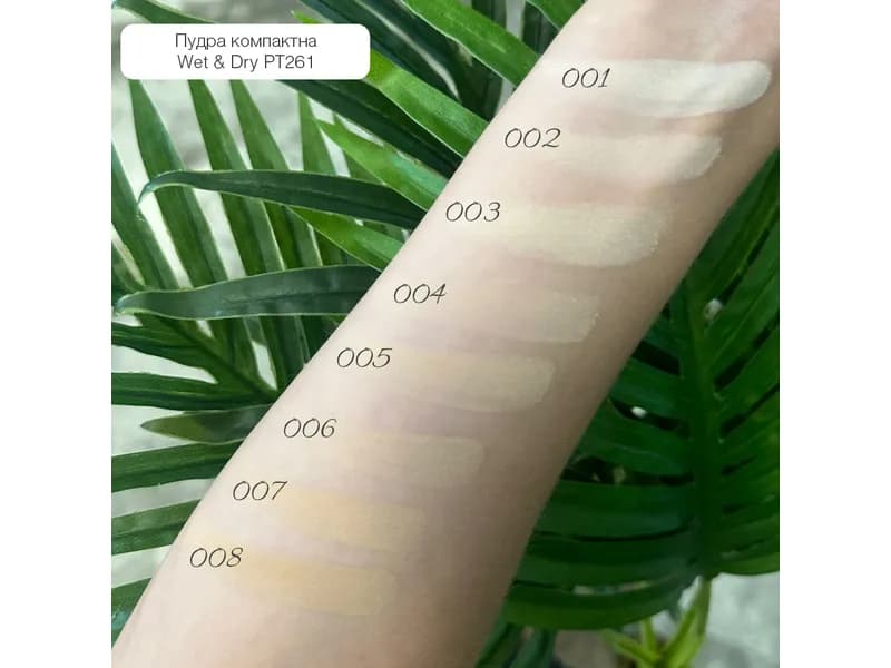 پنکیک تاپ فیس مدل Wet & Dry Powder — تصویر ۳