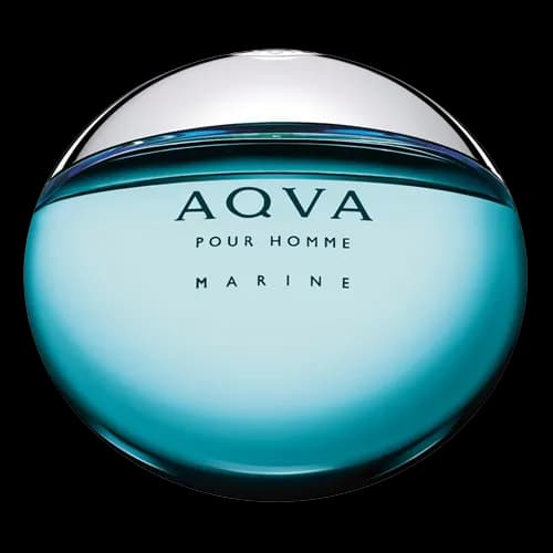 عطر دست ساز بولگاری آکوا پور هوم مارین ادو تویلت | Handmade Perfume Bvlgari Aqva Pour Homme Marine EDT