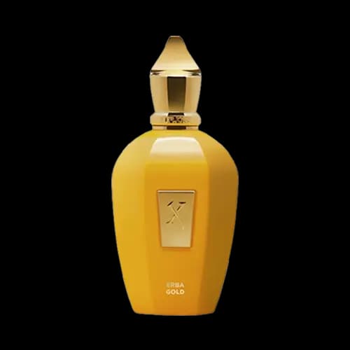 عطر دست ساز زرجوف اربا گلد ادو پرفیوم | Handmade Perfume Xerjoff Erba Gold EDP