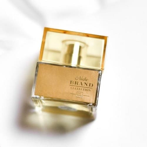 عطر ادکلن زنانه شیسیدو زن برند کالکشن مدل 195 (Shiseido ZEN) حجم 25 میل — تصویر ۳