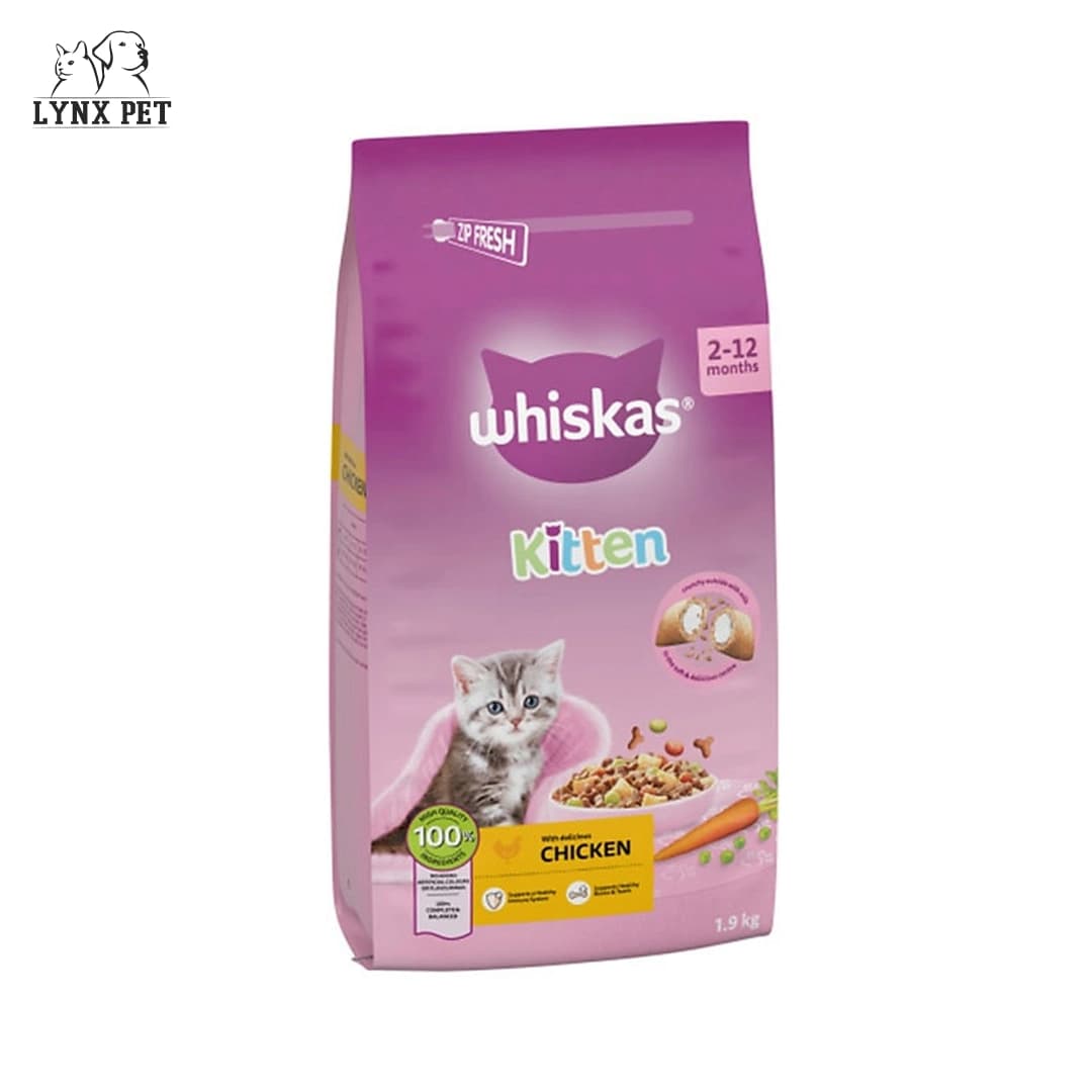 غذای بچه گربه مرغ ویسکاس