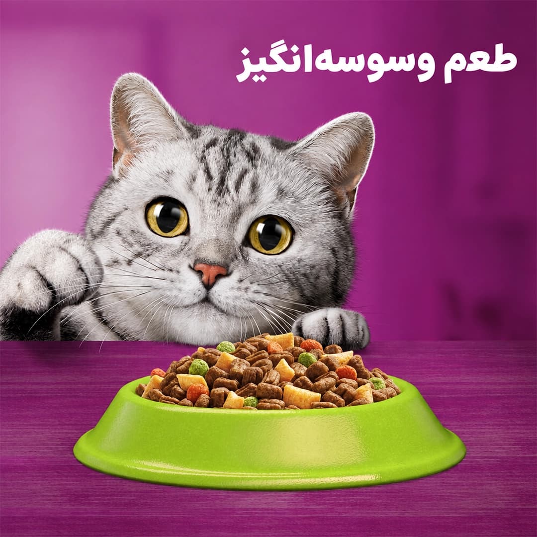 غذای گربه بره ویسکاس — تصویر ۶