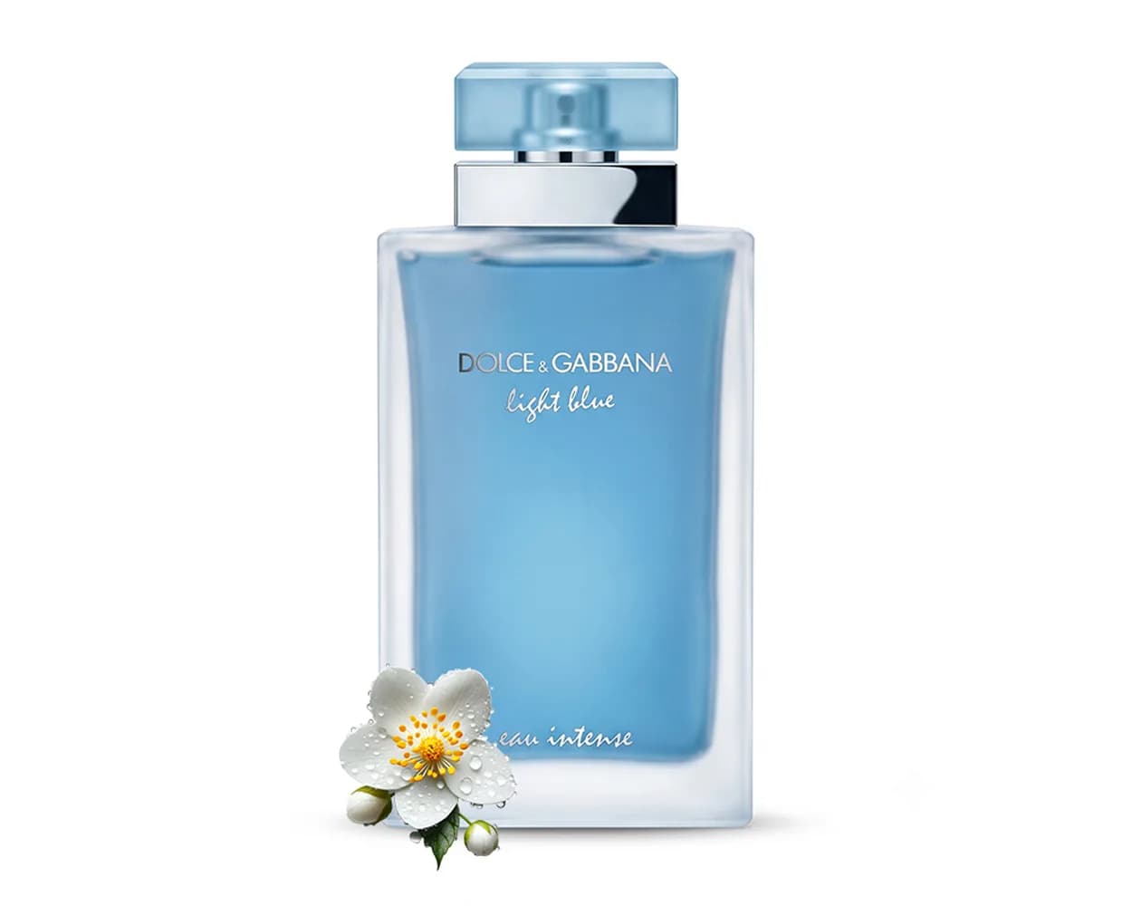 ادو پرفیوم لایت بلو او اینتنس زنانه دولچه گابانا