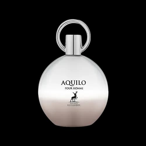 عطر و ادکلن الحمبرا بولگاری آکوا پور هوم (آکویلو پور هوم) ادو پرفیوم 100 میلی لیتر شرکتی | Alhambra Aquilo Pour Homme 100ml EDP — تصویر ۳
