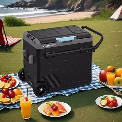 یخچال فریزر شارژی قابل حمل ۶۰ لیتری پاورولوژی مدل PPBCHA56 — تصویر ۲