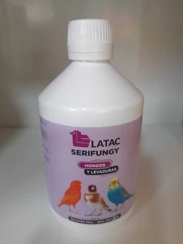 سری فونگی لاتک SERIFUNGY