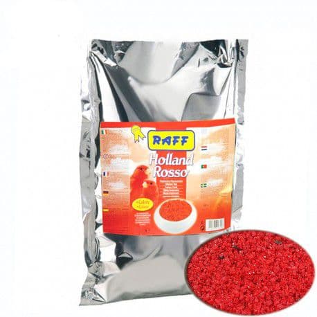غذا تخم مرغی و عسلی قرمز هلند روسو (HOLLAND ROSSO)
