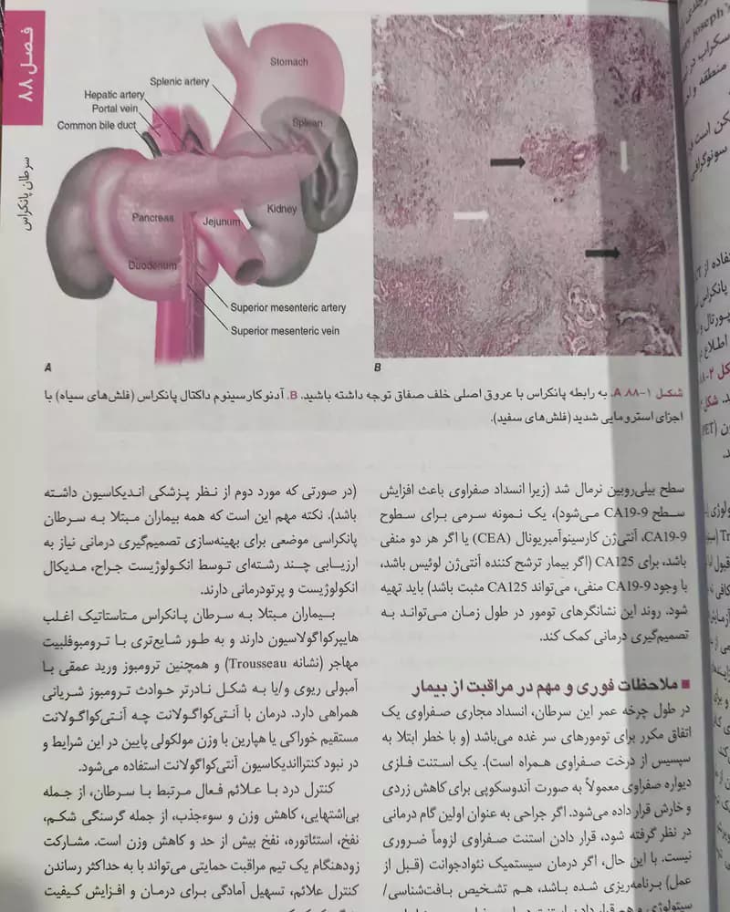 کتاب هاریسون کبد و پانکراس 2025 — تصویر ۳