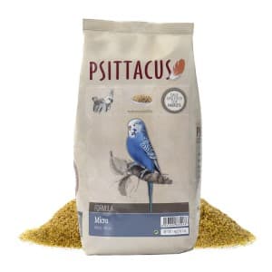 پلت و خوراک روزانه میکرو سیتاکوس Micro Psittacus
