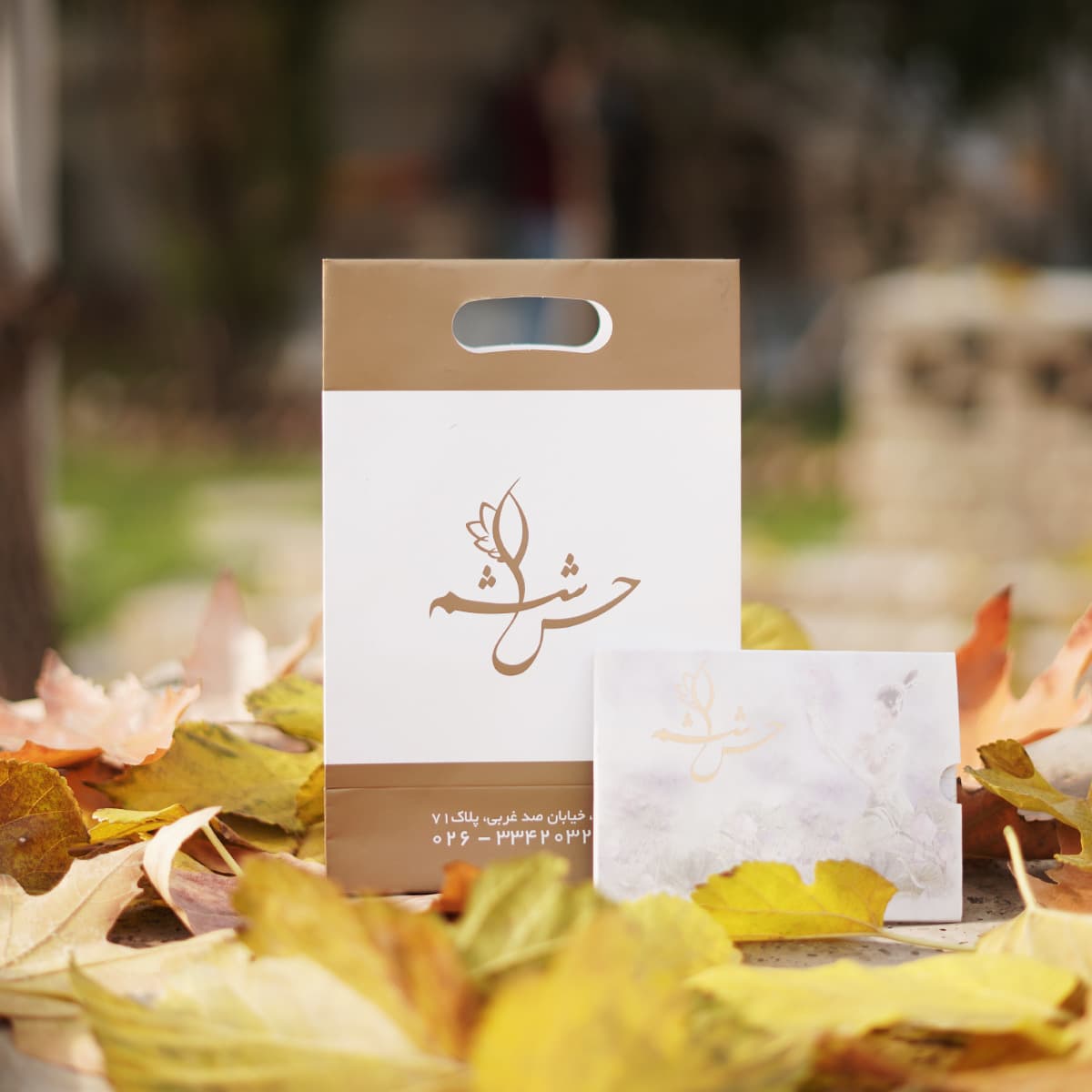 کارت هدیه VIP3 — تصویر ۴