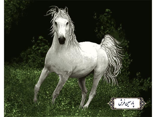 نخ و نقشه تابلو فرش طرح اسب سفید – کد NH3580