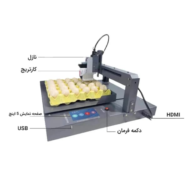 دستگاه تاریخ زن تخم مرغ DCN E1 — تصویر ۲