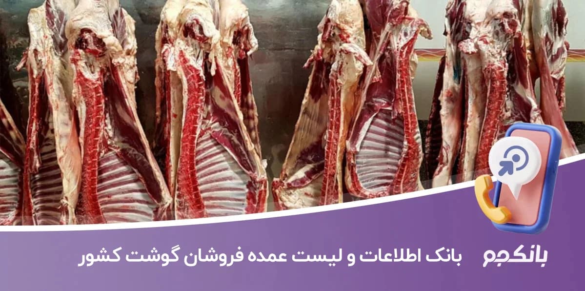 بانک اطلاعات و لیست عمده فروشان گوشت کشور