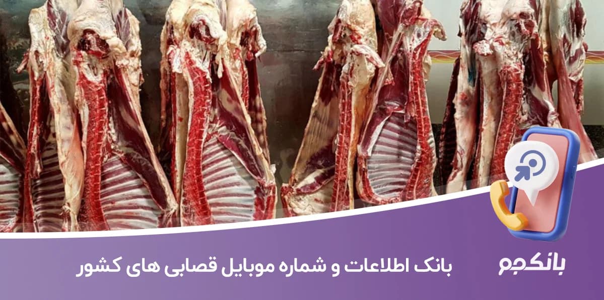بانک اطلاعات و شماره موبایل قصابی های کشور