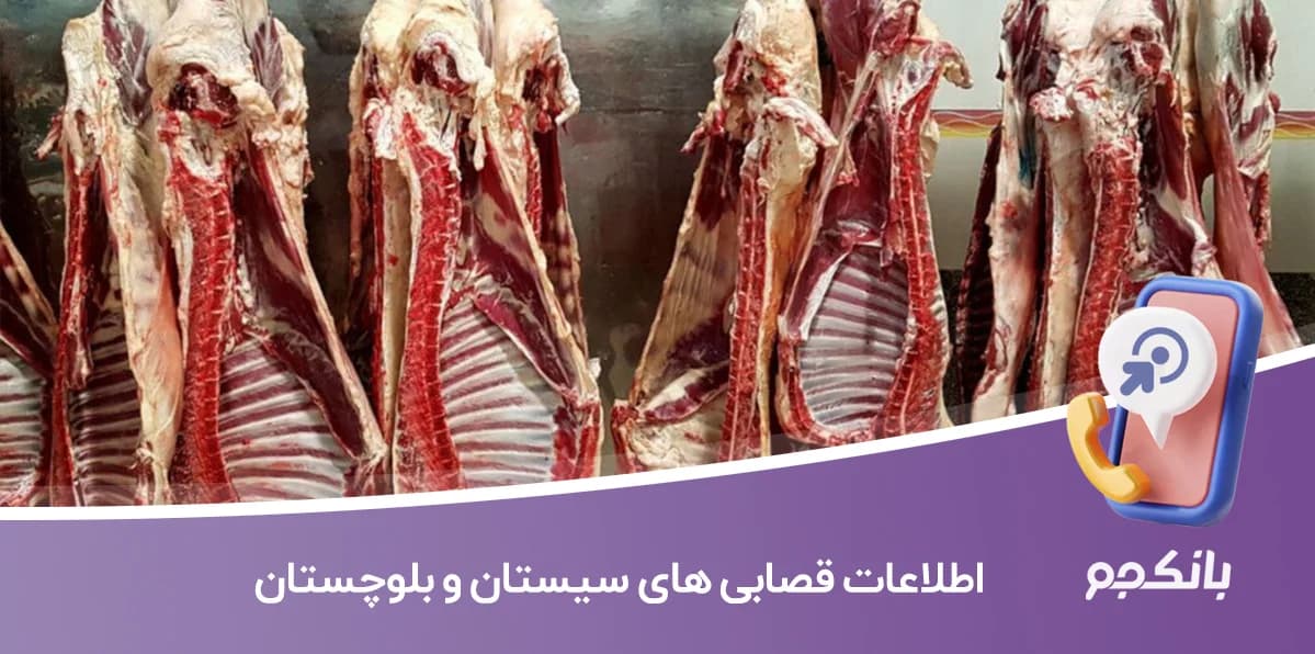 اطلاعات قصابی های استان سیستان و بلوچستان