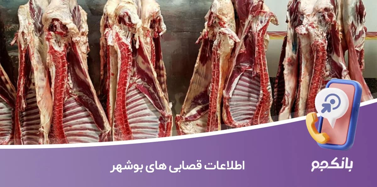 اطلاعات و لیست قصابی های بوشهر