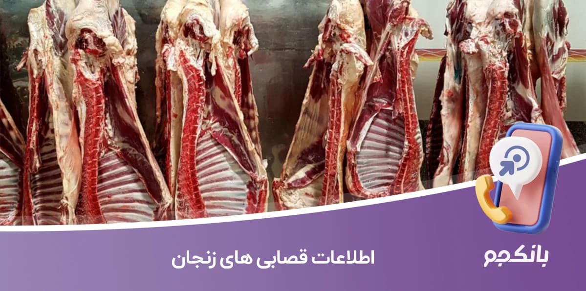 بانک اطلاعات قصابی های زنجان