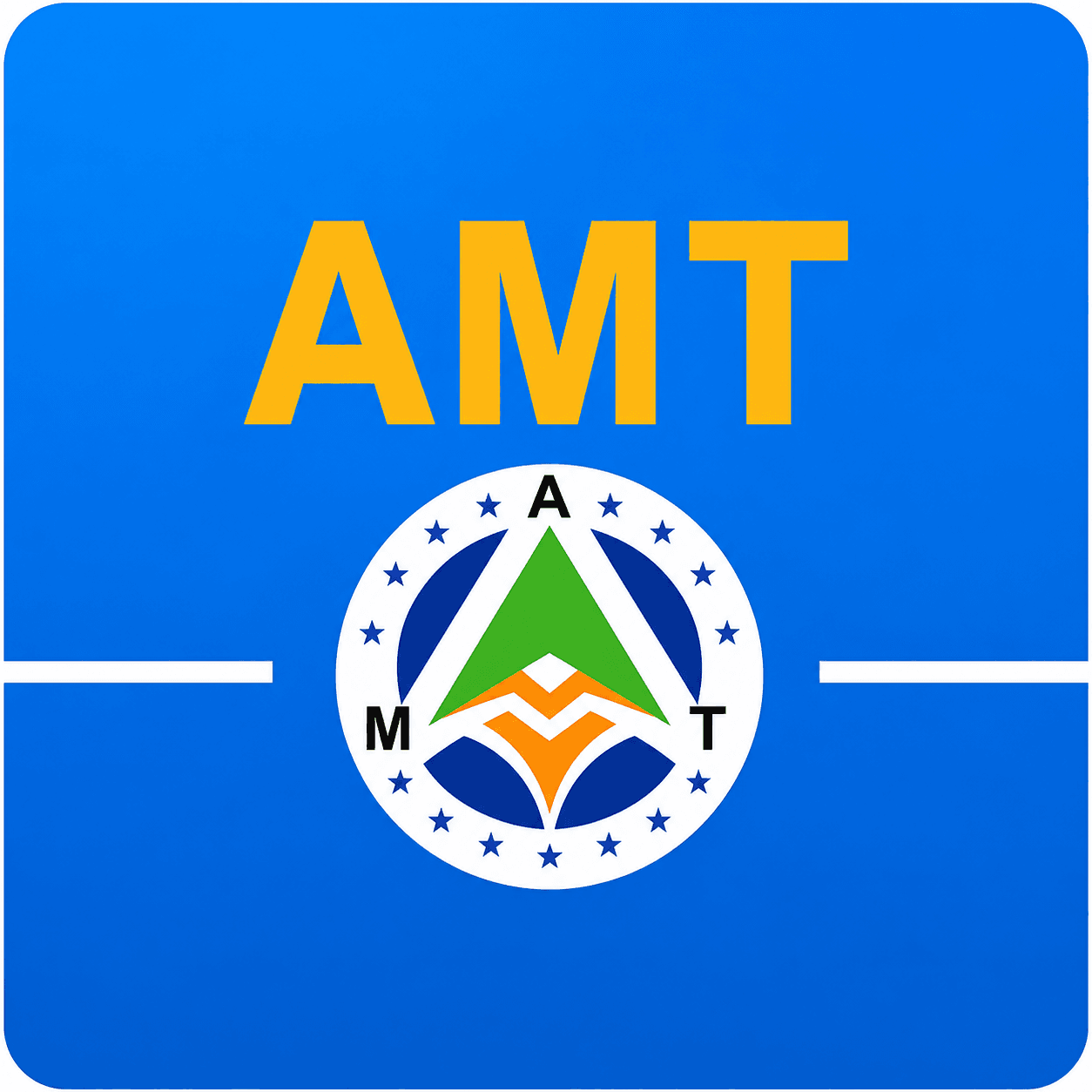 پلاتین 53 پیکان AMT — تصویر ۳