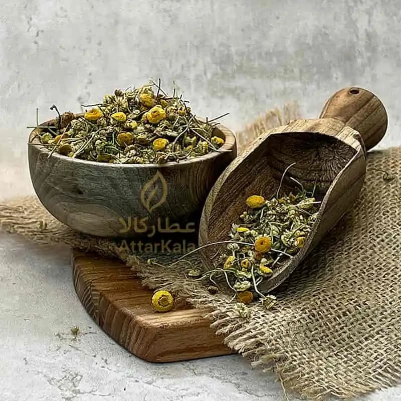 بابونه اردبیلی — تصویر ۲