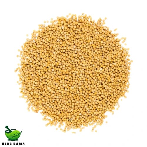 تخم خردل – ۱ کیلوگرم