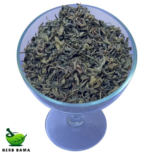 چای سبز – ۱ کیلوگرم — تصویر ۳