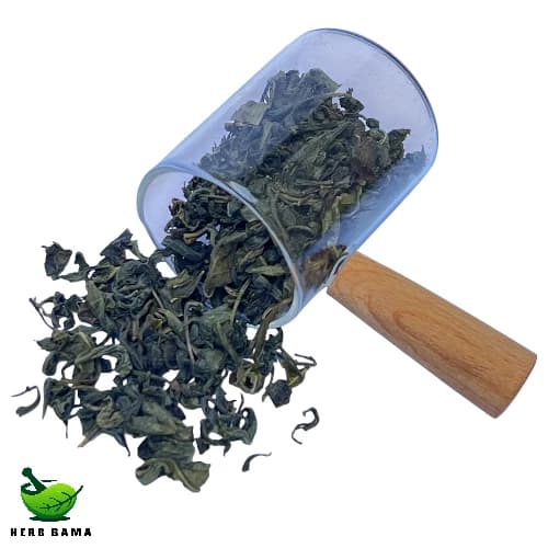 چای سبز – ۱ کیلوگرم — تصویر ۲