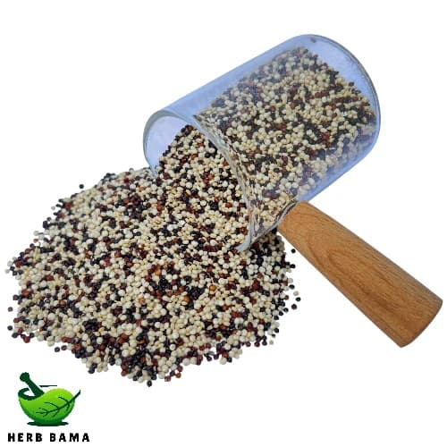 کینوا رنگی (سه رنگ) – ۱ کیلوگرم — تصویر ۲