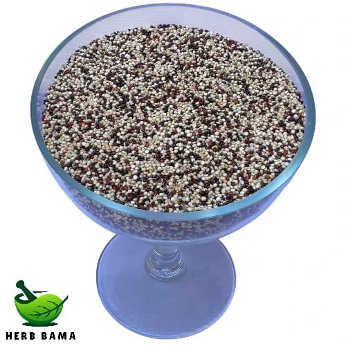 کینوا رنگی (سه رنگ) – ۱ کیلوگرم — تصویر ۳