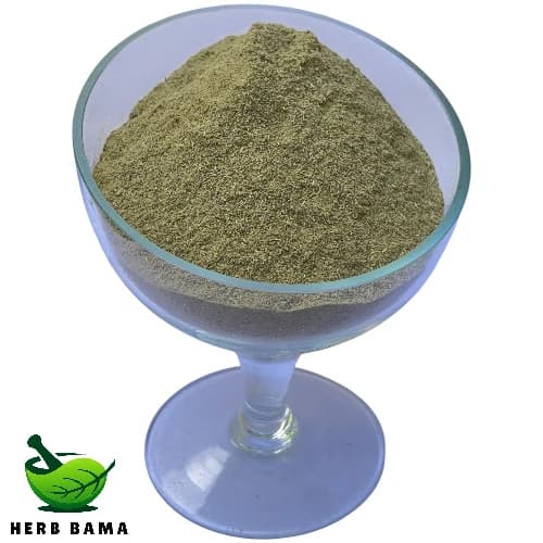 پودر آویشن (گل آویشن شیرازی سابیده) — تصویر ۲