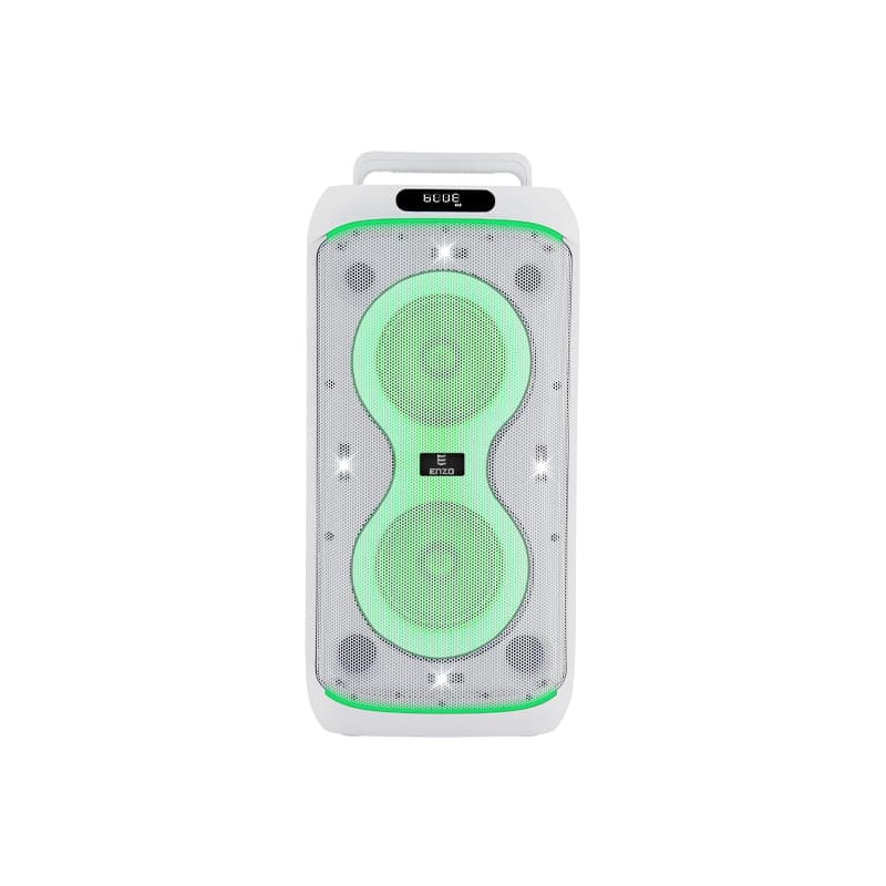 اسپیکر ENZO BOX 670 — تصویر ۴