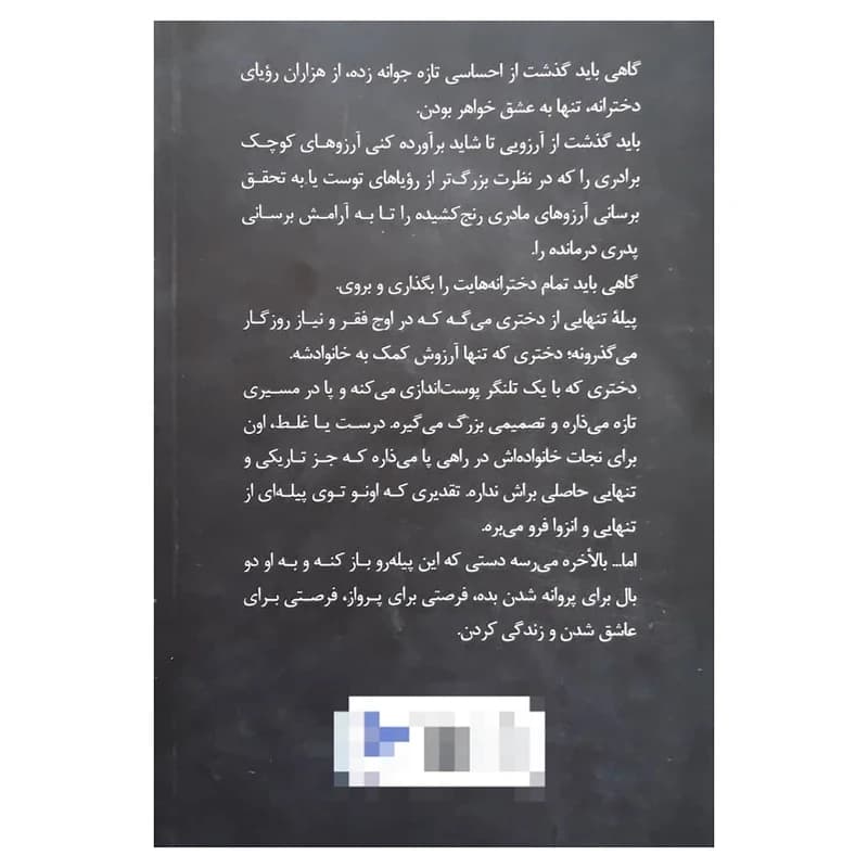 کتاب پیله تنهایی اثر سعیده آساره نشر در دانش بهمن — تصویر ۲