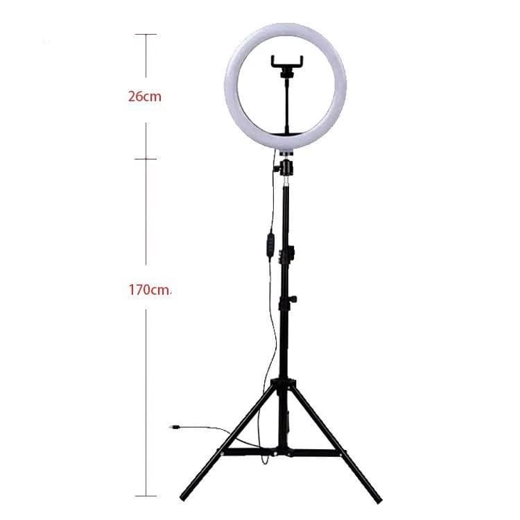 رینگ لایت 10 اینچ پایه دار پی نت مدل ZMX-260 — تصویر ۳