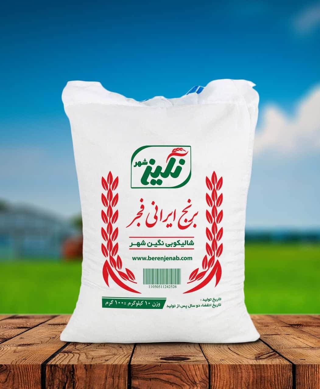 برنج فجر نگین شهر