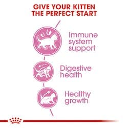 غذای خشک رویال کنین کیتن وزن 2 کیلوگرم | Royal Canin Kitten — تصویر ۴