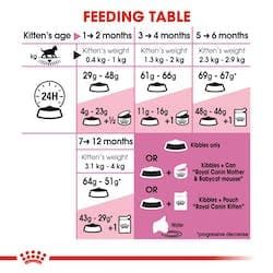 غذای خشک رویال کنین کیتن وزن 2 کیلوگرم | Royal Canin Kitten — تصویر ۶
