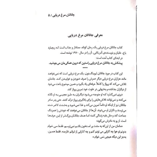کتاب جاناتان مرغ دریایی اثر ریچاردباخ انتشارات معجزه علم — تصویر ۳