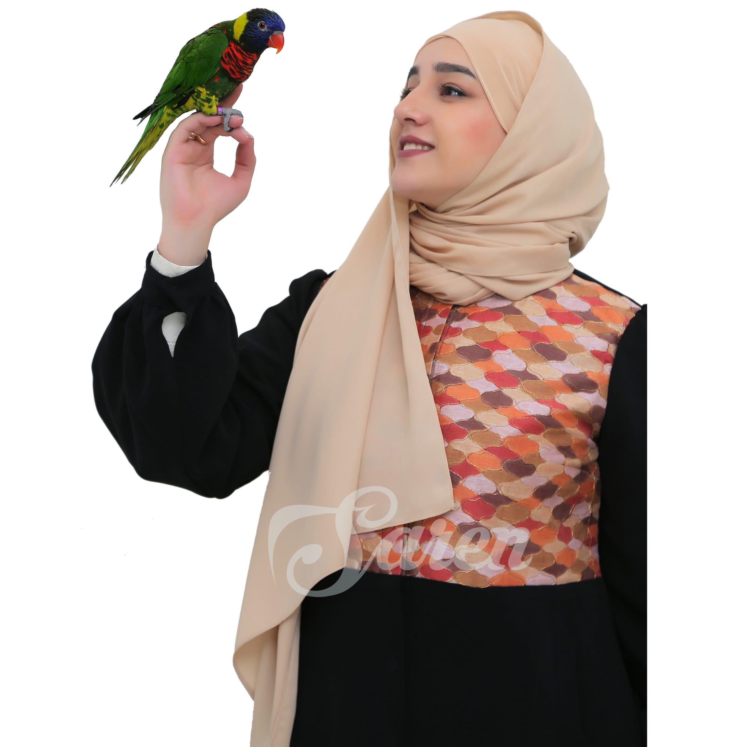 هد شال 2 پیل