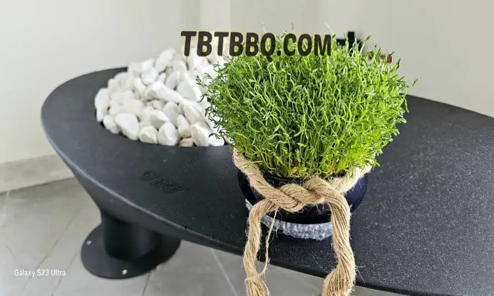 شومینه معلق AYHAN — تصویر ۷