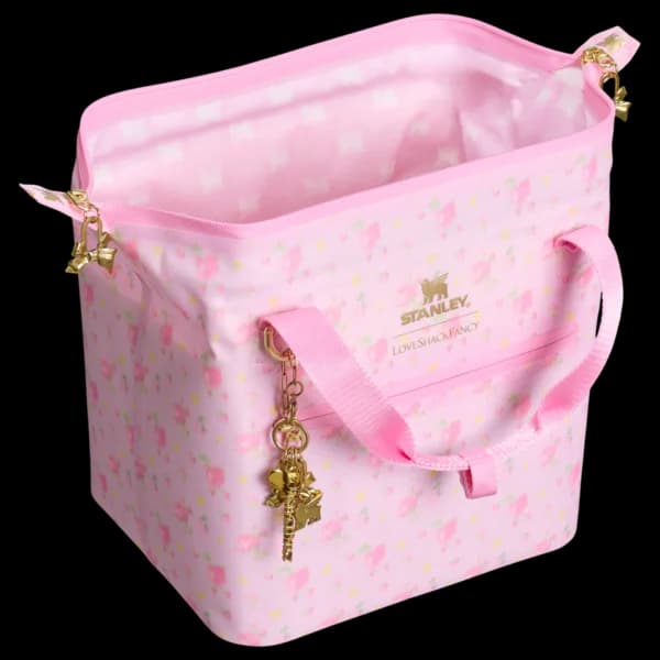 Stanley 1913 x LoveShackFancy All Day Julienne Mini Cooler | 10 Can | 7.4 QT | 7.0 L — تصویر ۵