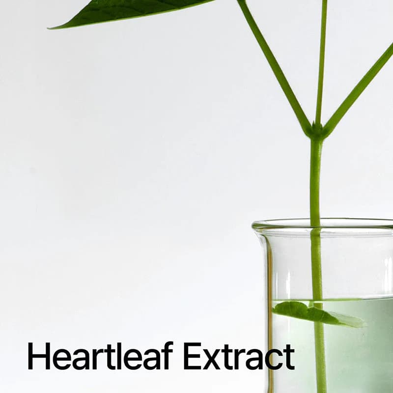 روغن پاک کننده و کنترل منافذ آنوا مدل Heartleaf — تصویر ۶