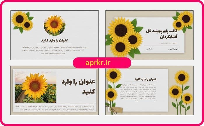 قالب پاورپوینت گل آفتابگردان