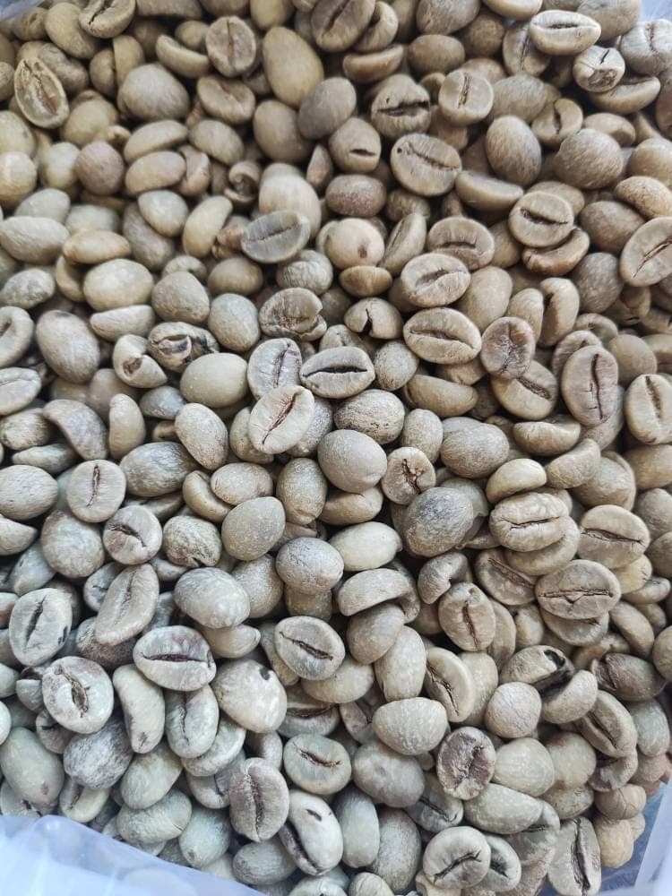 قهوه سبز — تصویر ۵