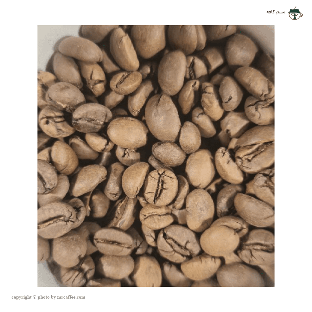 میکس 80 روبوستا — تصویر ۲
