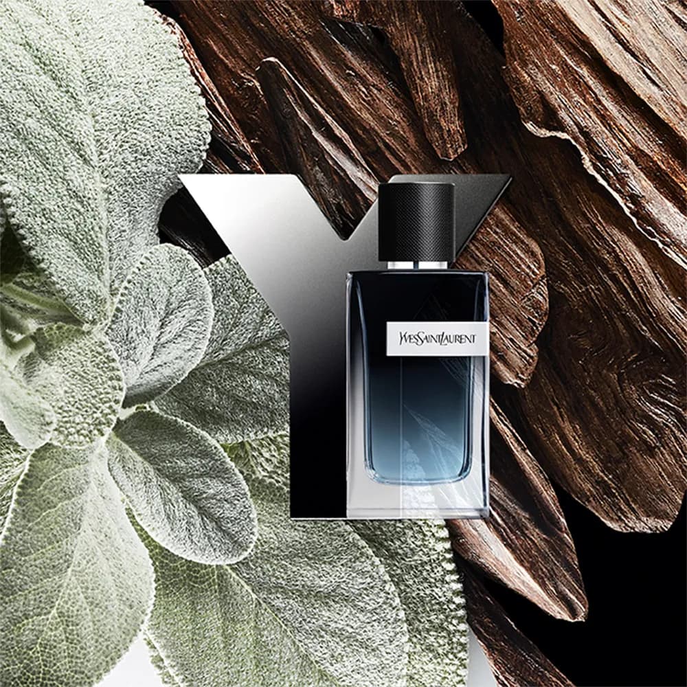 عطر ایو سن لورن وای (YSL Y) — تصویر ۲