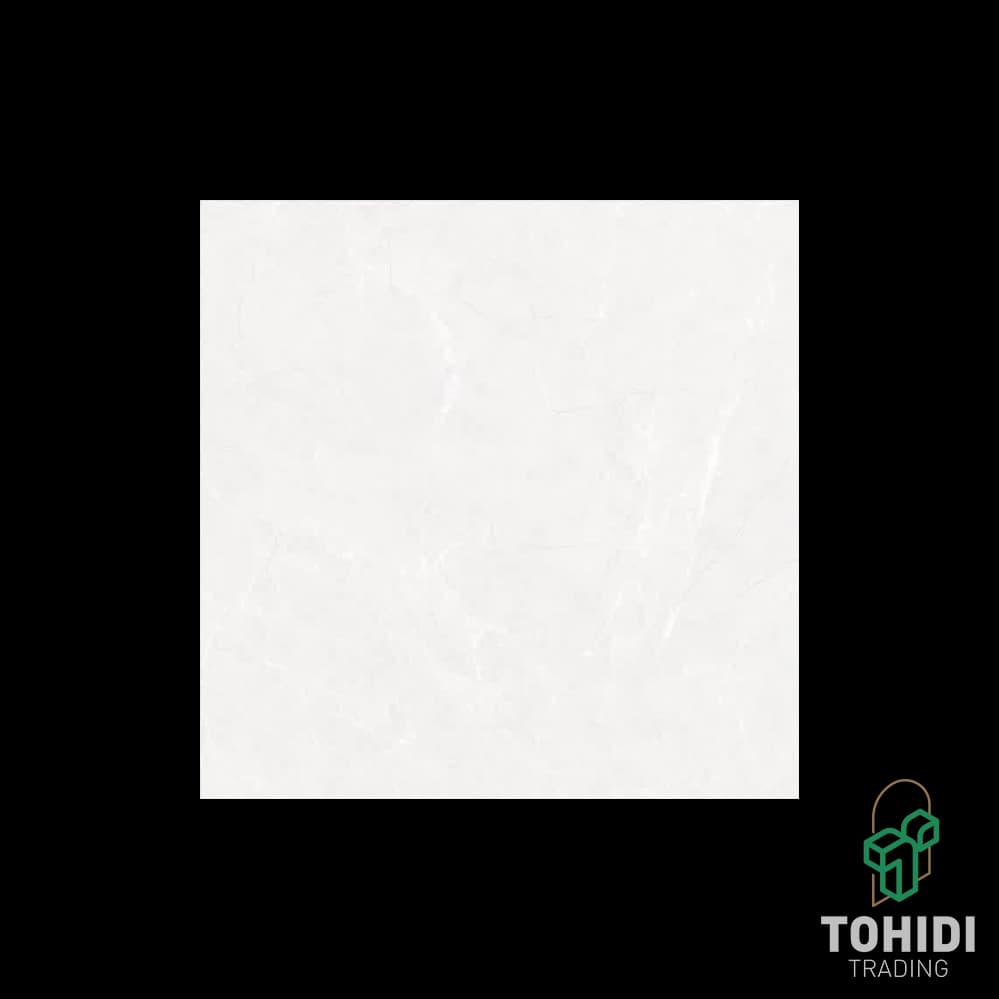 فلوریدا طوسي براق اسکوار ‏60*60 درجه 2 - پاسارگاد - سراميک - ‎6607008FXS212SQ
